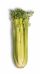 Celery Stalk