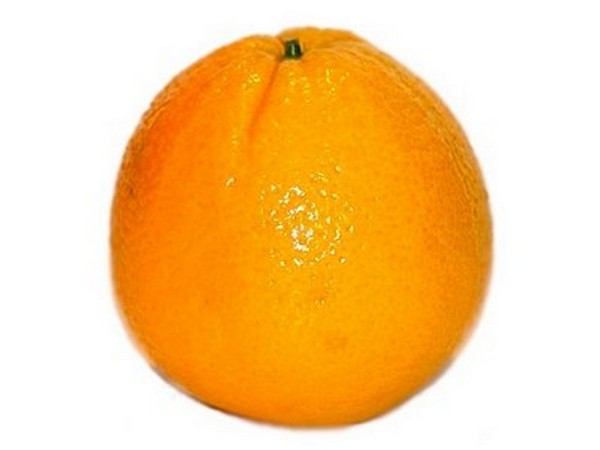 Orange&lemon Fizz