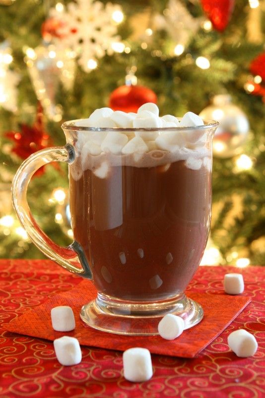 Hot Chocolate To Die For recipe