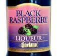 Gaetano Black Raspberry