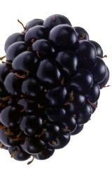 Blackberries