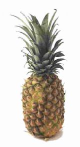 Pineapple