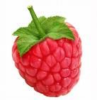 Raspberry