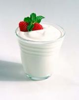 Plain Yogurt