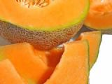 Cantaloupe