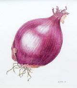 Onion