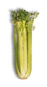 Celery Stalk