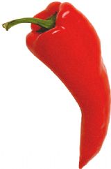 Chili Pepper