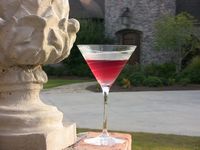 Fare Thee Well Martini recipe