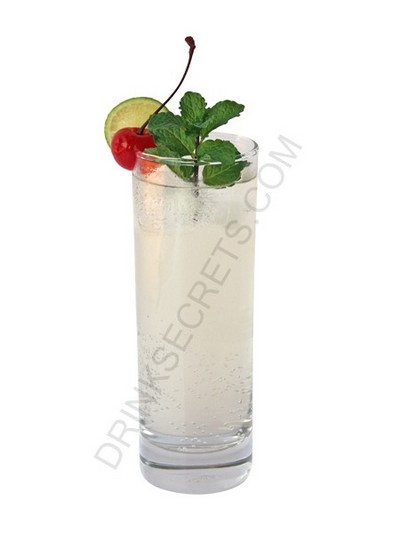 Mint Collins recipe