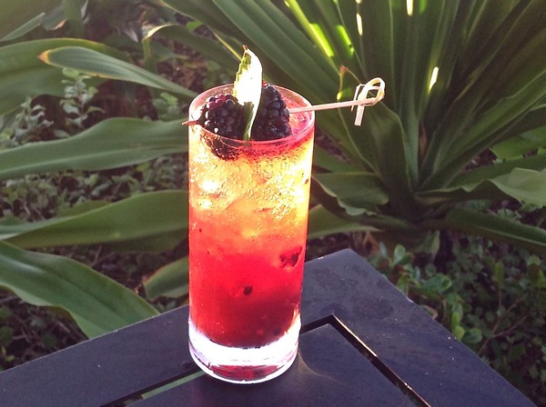 Blackberry Fizz