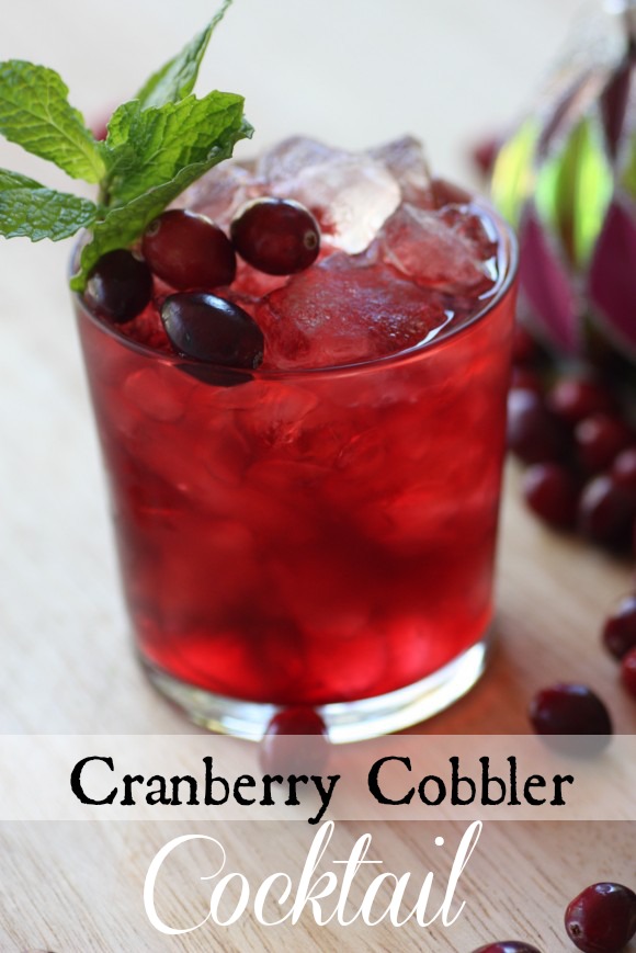 Cranberry Zambonee recipe