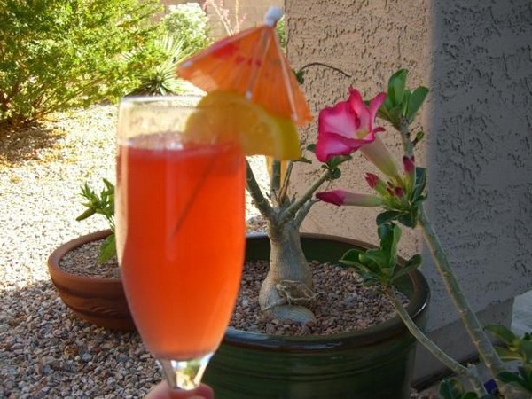 Due Campari recipe