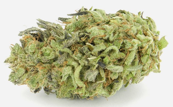 Durban Poison recipe