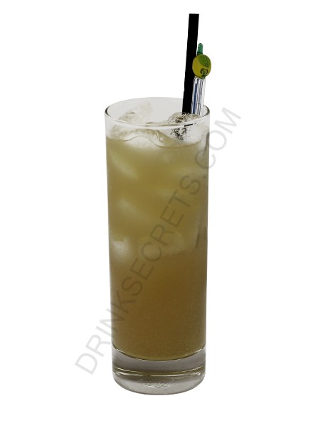 Amaretto Stone Sour recipe