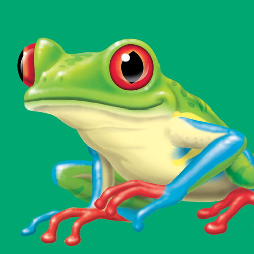 Little Green Frog recipe