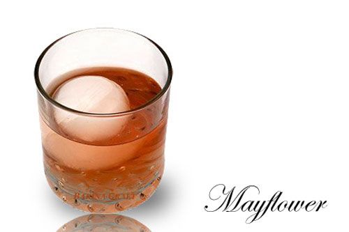 Mayflower Cocktail recipe