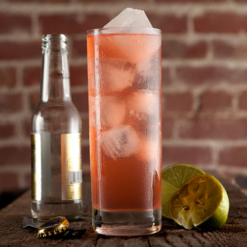 Pink Gin Tonic recipe