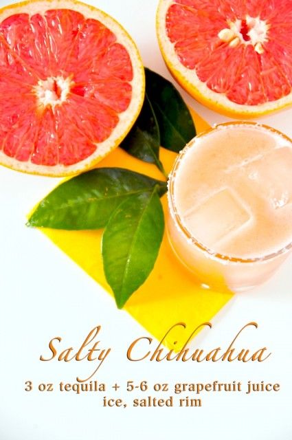 Salty Chihuahua recipe