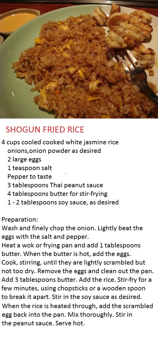 Shogun recipe