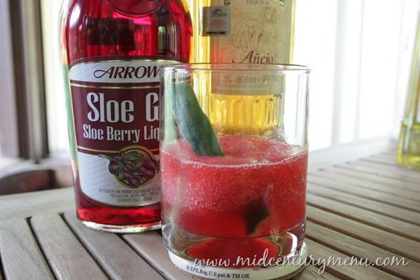 Sloe Tequila