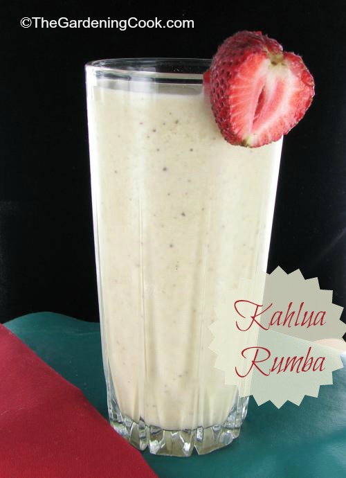 Rumba recipe