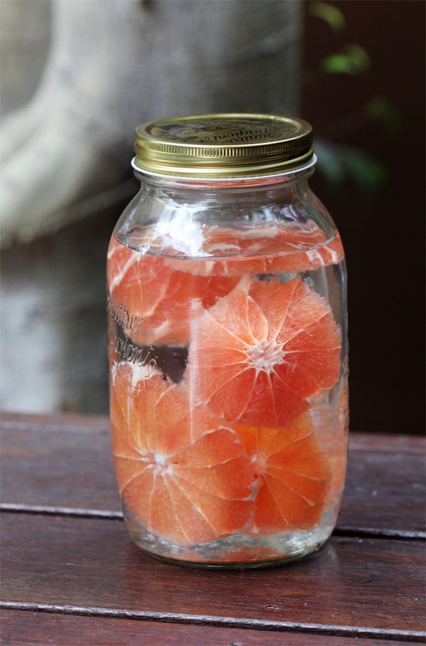 Grapefruit Teaser recipe