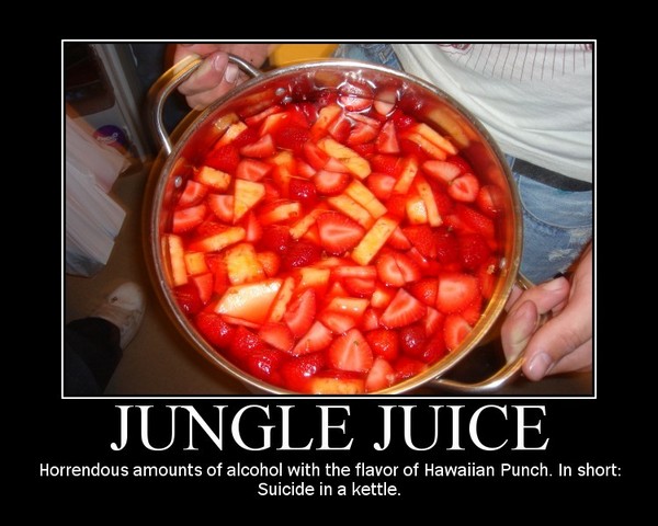 Jungle Juice recipe