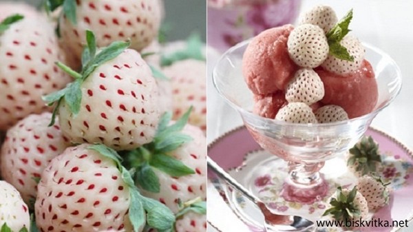 Pineberry recipe