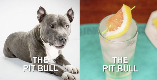 Pit Bull On Crack recipe